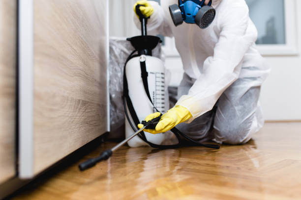 Best Affordable Pest Control Services  in Morristown, IN
