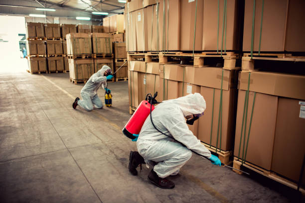 Reliable Morristown, IN Pest Control Solutions