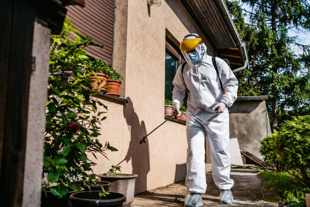 Best Exterminator Services  in Morristown, IN