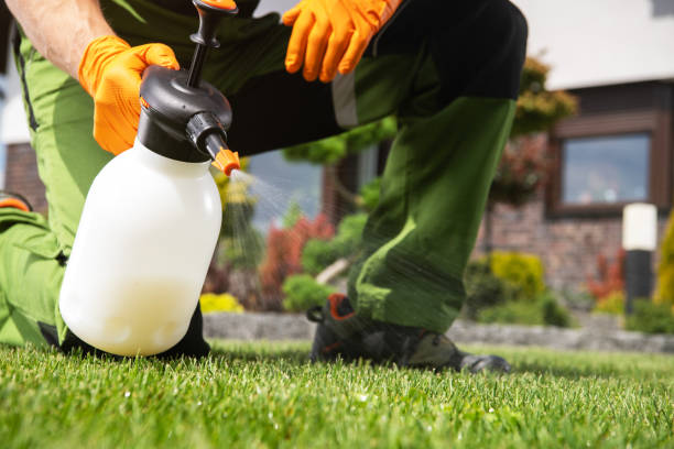 Best Pest Control for Restaurants  in Morristown, IN