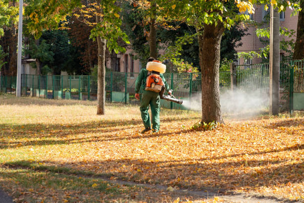 Pest Control for Restaurants in Morristown, IN