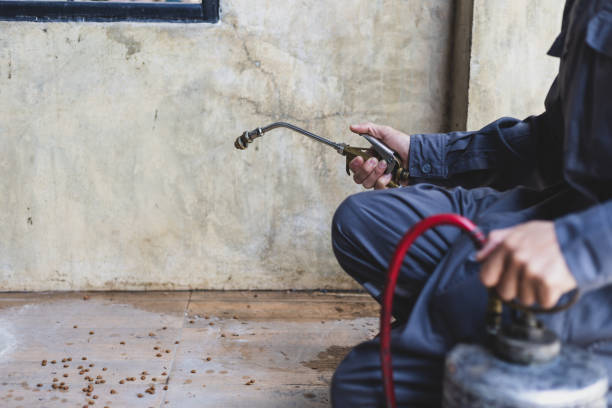 Best Emergency Pest Control  in Morristown, IN